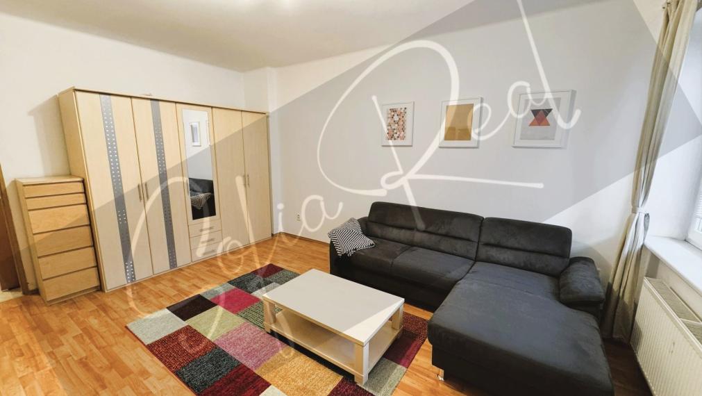 PRENÁJOM: 2-izbový byt v širšom centre Bratislavy (Trnavské mýto)