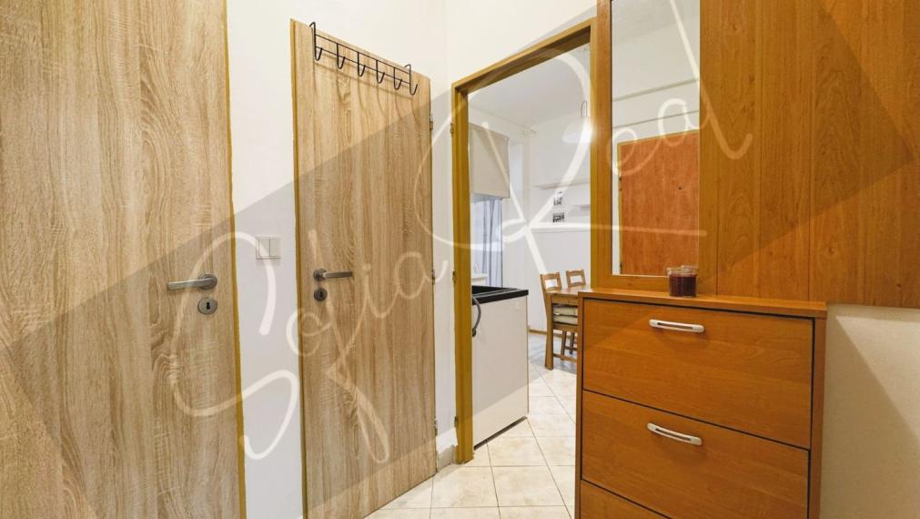 PRENÁJOM: 2-izbový byt v širšom centre Bratislavy (Trnavské mýto)