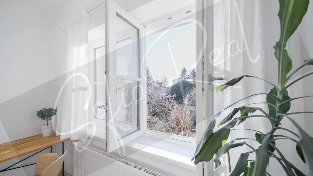 PRENÁJOM - 3D: 4i rodinný dom | záhradka | pri Ľudovom nám. - Nové Mesto