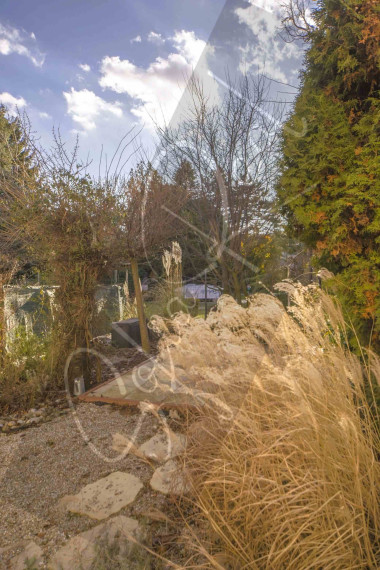 PRENÁJOM - 3D: 4i rodinný dom | záhradka | pri Ľudovom nám. - Nové Mesto