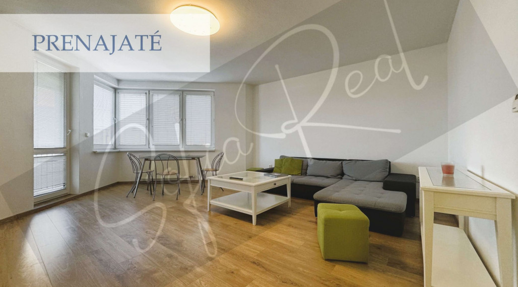 PRENAJATÉ: priestranný 4-izbový byt; Horský park; parking, Staré Mesto