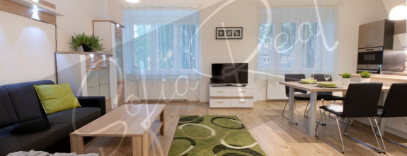 PRENAJOM - VOĽNÝ: 2-izbový byt; širšie centrum; pri OC CENTRAL