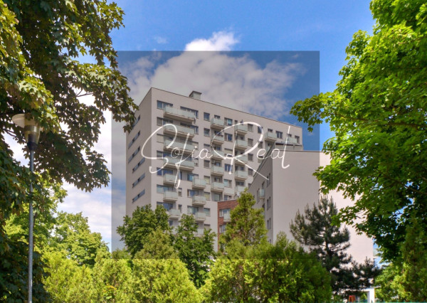 PRENAJOM: veľkorysý 2-izbový byt | parkovanie | pri Ľudovom námestí - Nové Mesto